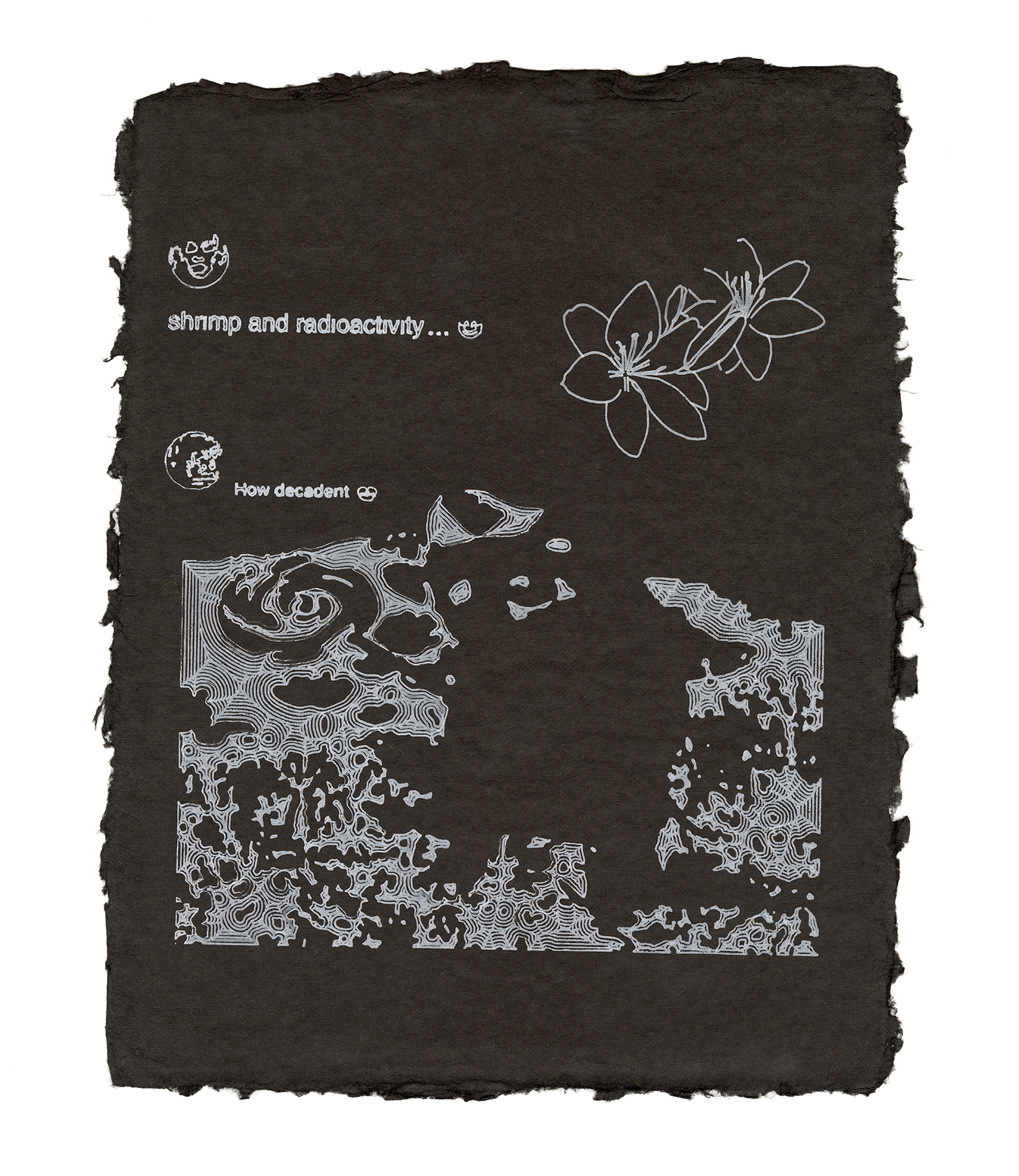 shrimp and radioactivity